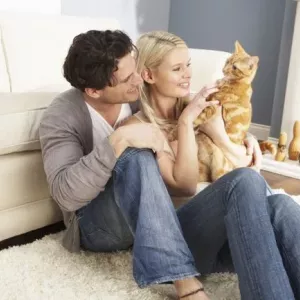 Cum să conțineți un pisoi sau o pisică adultă în apartament: reguli pentru păstrarea pisicilor acasă